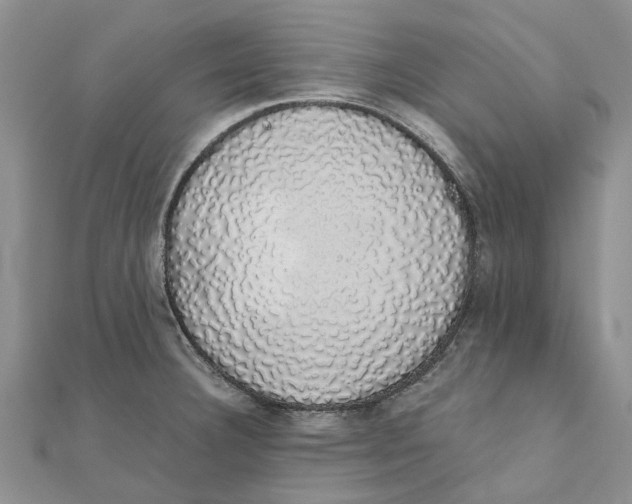 X0000111881332200908131625