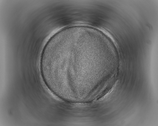 X0000111881333200908131625