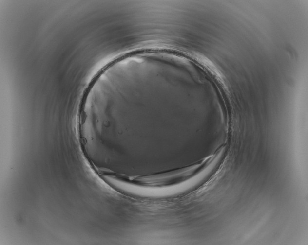 X0000111881334200908131625