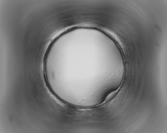 X0000111881335200908131625