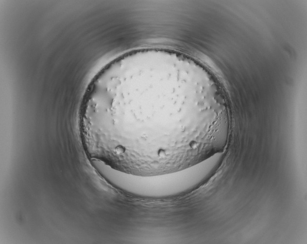 X0000111881336200908131625