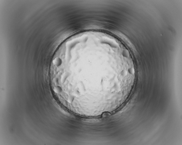 X0000111881337200908131625