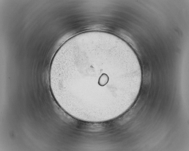 X0000111881338200908131625