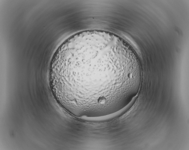 X0000111881340200908131625