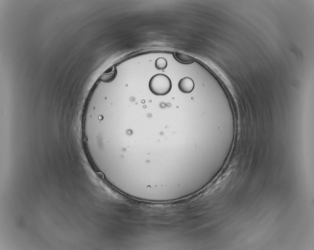 X0000111881341200908131625