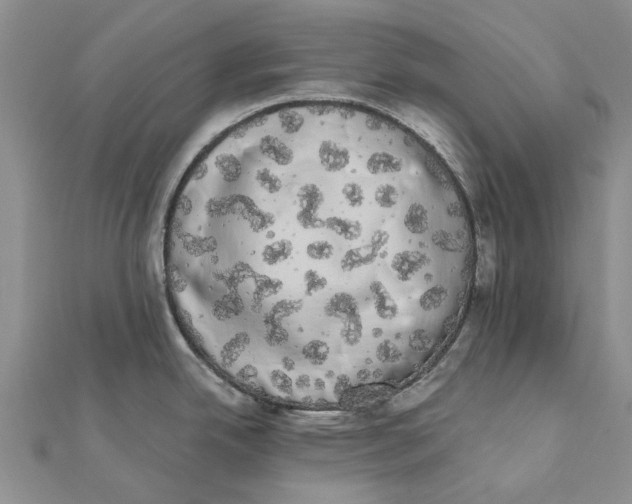 X0000111881342200908131625