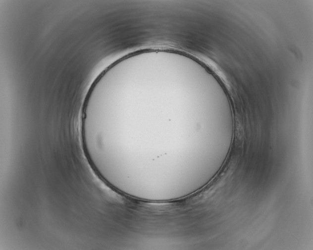 X0000111881343200908131625