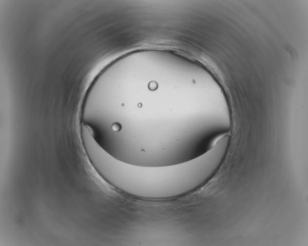 X0000111881344200908131625