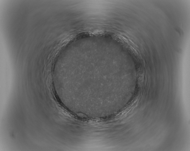 X0000111881345200908131625