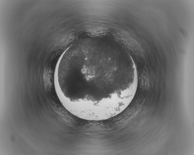 X0000111881346200908131625