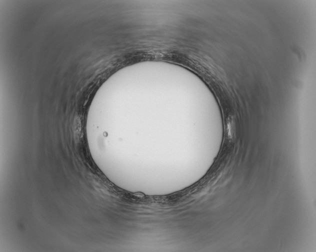 X0000111881347200908131625