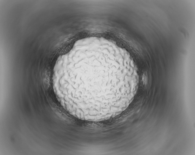 X0000111881348200908131625