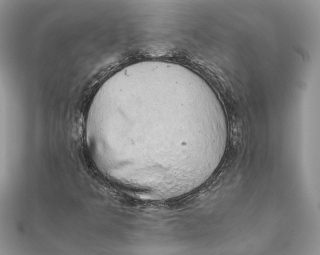 X0000111881349200908131625