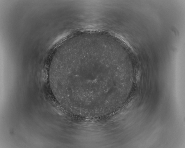 X0000111881350200908131625