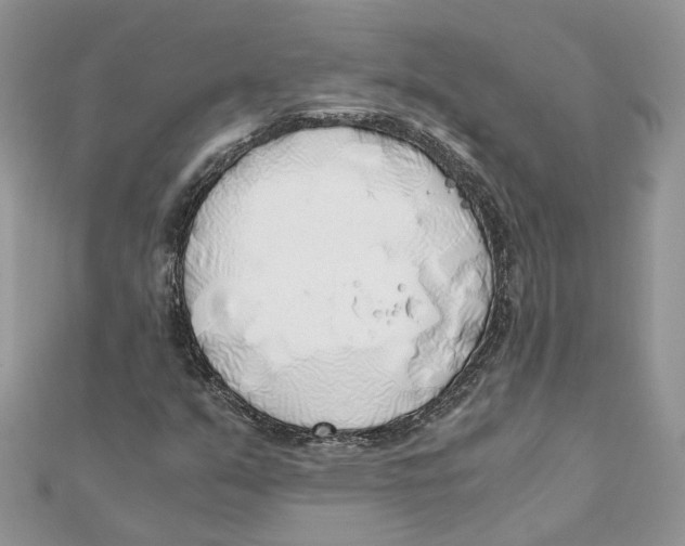 X0000111881351200908131625