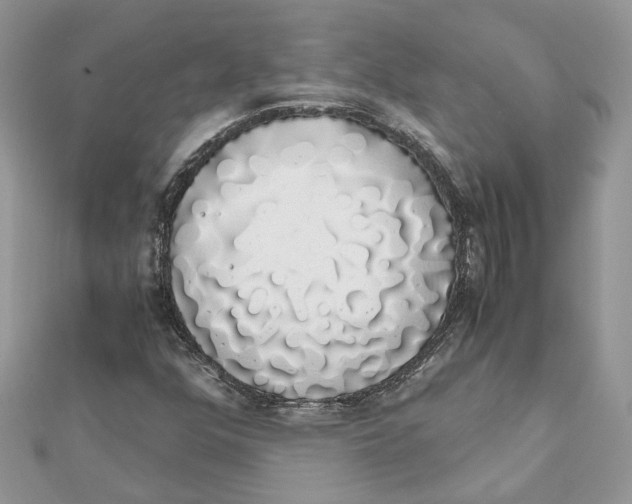 X0000111881352200908131625