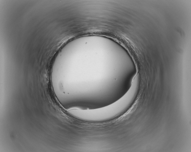 X0000111881353200908131625