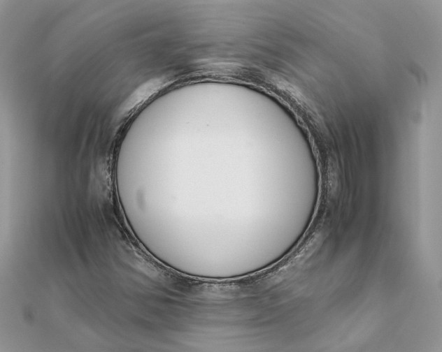 X0000111881354200908131625