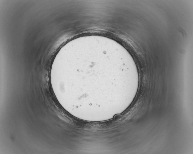 X0000111881355200908131625