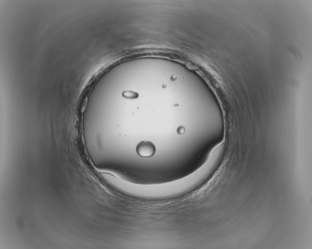 X0000111881357200908131625