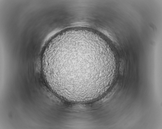 X0000111881358200908131625