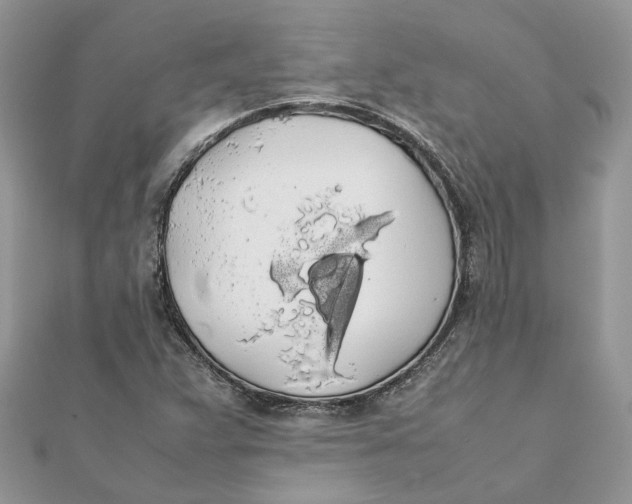 X0000111881359200908131625