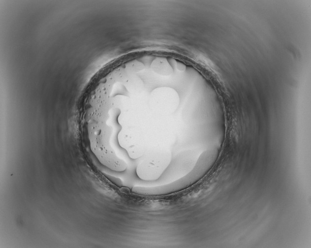 X0000111881360200908131625