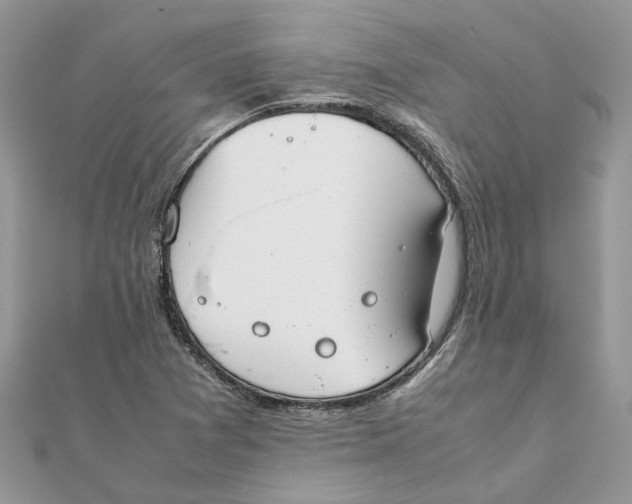 X0000111881361200908131625