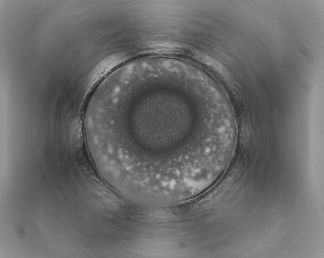 X0000111881362200908131625