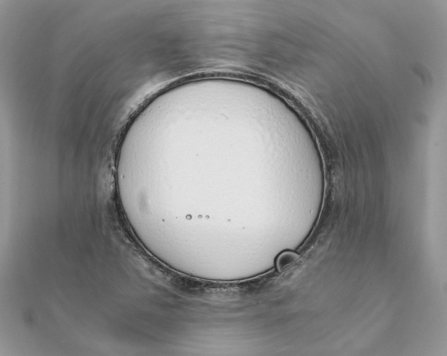 X0000111881363200908131625