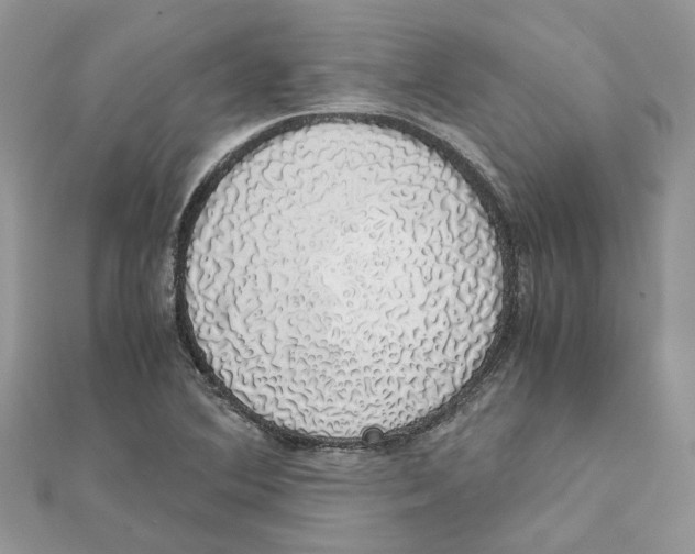 X0000111881364200908131625