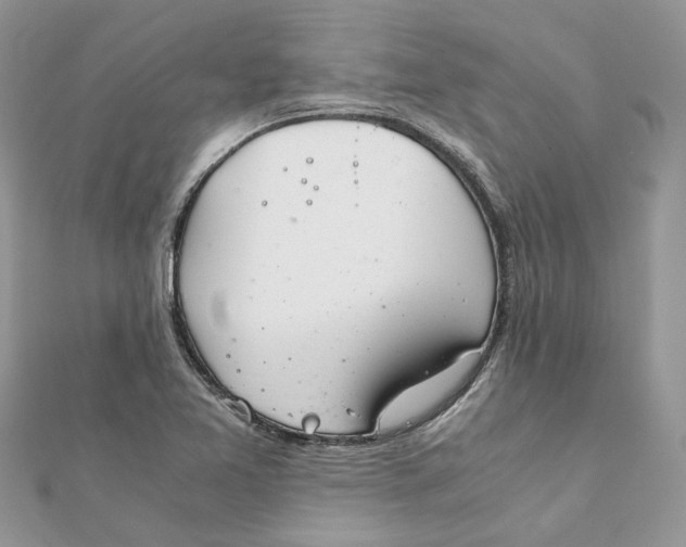 X0000111881365200908131625