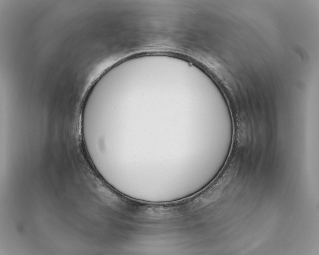 X0000111881366200908131625