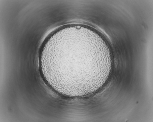 X0000111881368200908131625