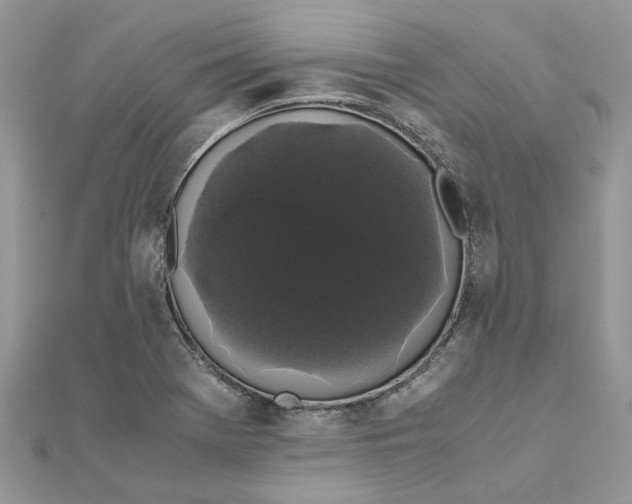 X0000111881369200908131625