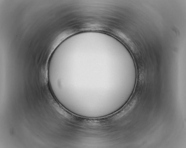 X0000111881370200908131624