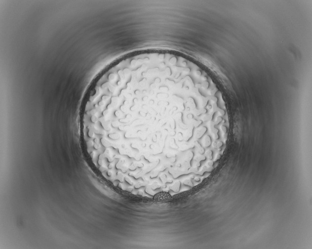 X0000111881372200908131624