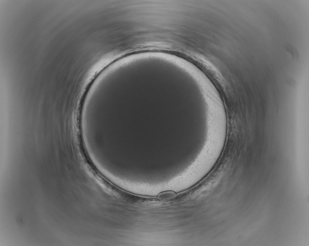 X0000111881373200908131624