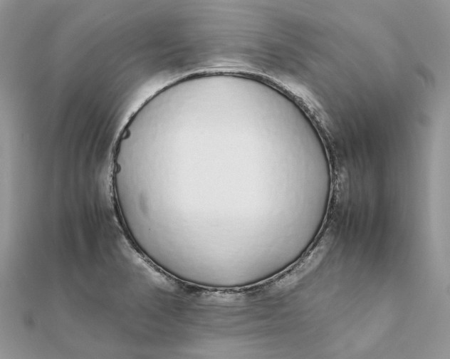 X0000111881374200908131624