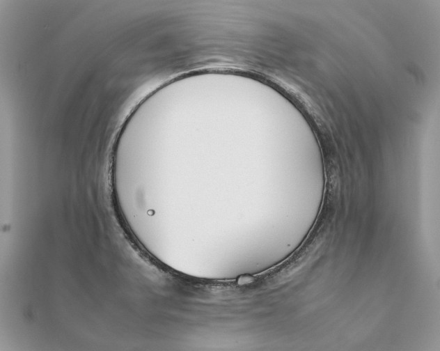 X0000111881375200908131624