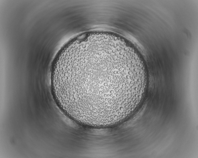 X0000111881376200908131624