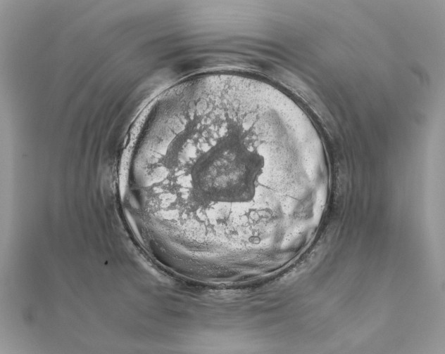 X0000111881377200908131624