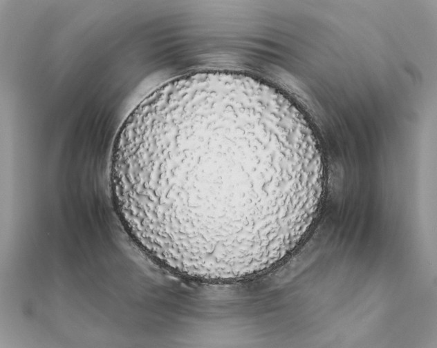 X0000111881378200908131624