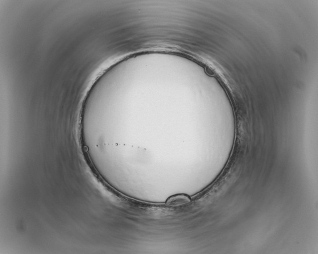 X0000111881379200908131624