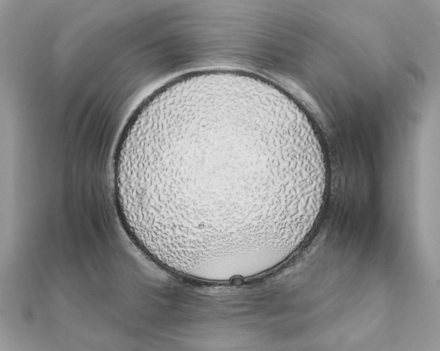 X0000111881380200908131624