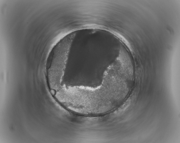 X0000111881381200908131624