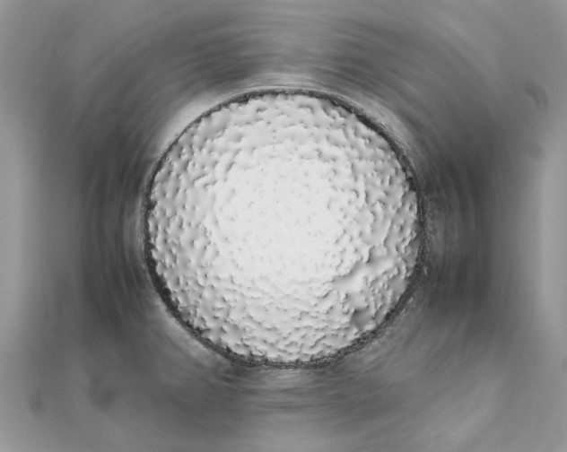 X0000111881382200908131624