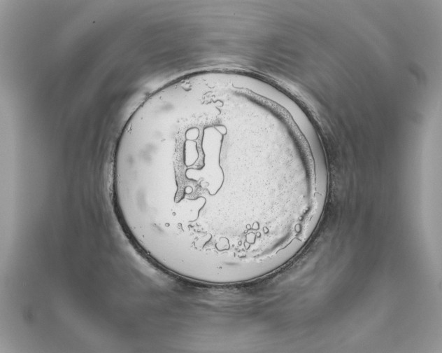 X0000111881383200908131624