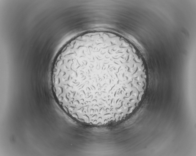 X0000111881384200908131624