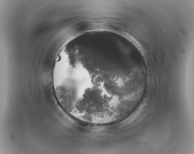 X0000111881385200908131624